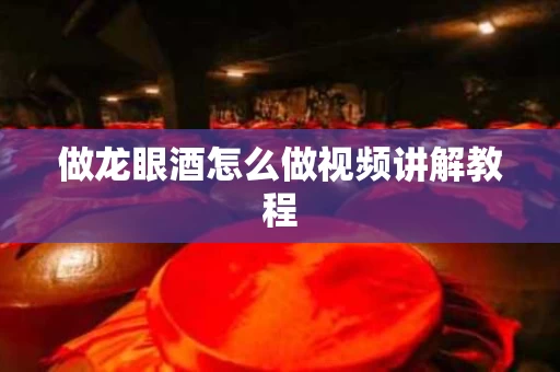 做龙眼酒怎么做视频讲解教程