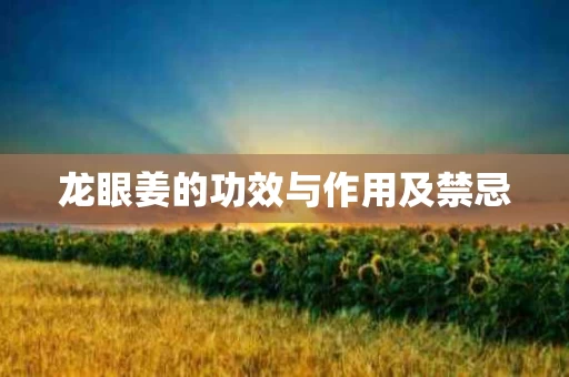 龙眼姜的功效与作用及禁忌