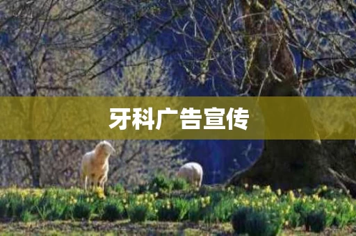 牙科广告宣传