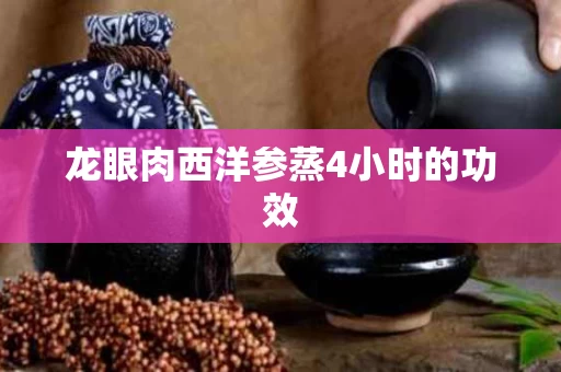 龙眼肉西洋参蒸4小时的功效