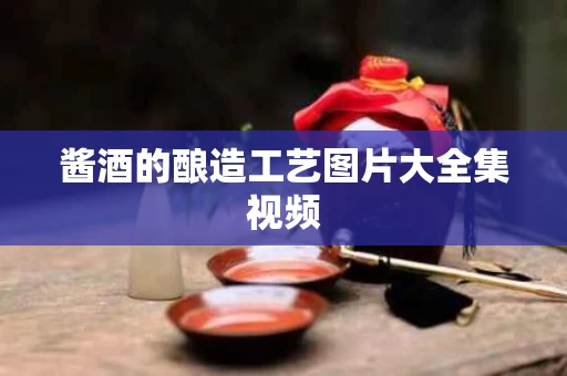 酱酒的酿造工艺图片大全集视频