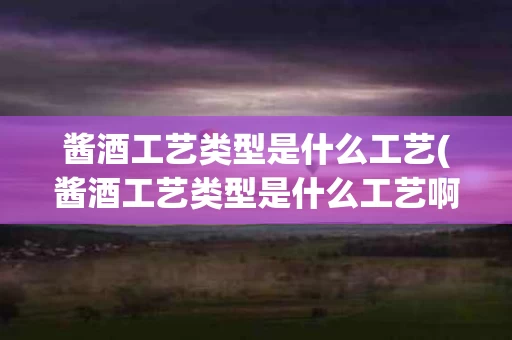 酱酒工艺类型是什么工艺(酱酒工艺类型是什么工艺啊)