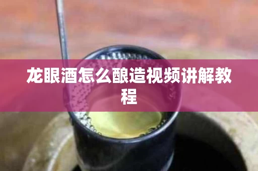 龙眼酒怎么酿造视频讲解教程