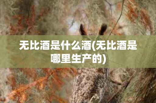 无比酒是什么酒(无比酒是哪里生产的)