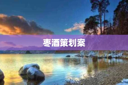 枣酒策划案