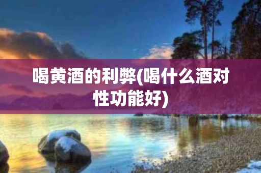 喝黄酒的利弊(喝什么酒对性功能好)