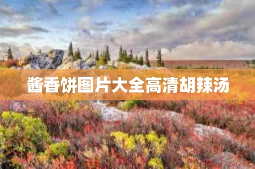 酱香饼图片大全高清胡辣汤