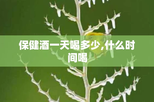 保健酒一天喝多少,什么时间喝