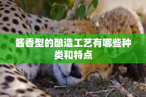 酱香型的酿造工艺有哪些种类和特点