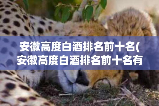 安徽高度白酒排名前十名(安徽高度白酒排名前十名有哪些)