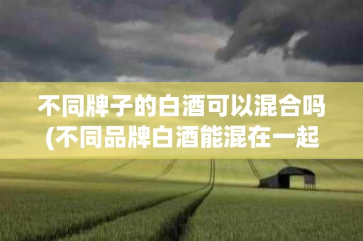 不同牌子的白酒可以混合吗(不同品牌白酒能混在一起保存吗)