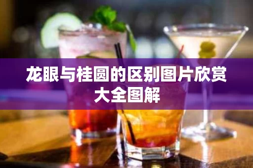 龙眼与桂圆的区别图片欣赏大全图解
