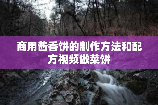 商用酱香饼的制作方法和配方视频做菜饼