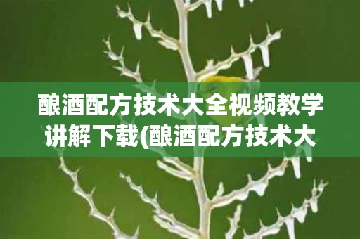 酿酒配方技术大全视频教学讲解下载(酿酒配方技术大全视频教学讲解下载安装)