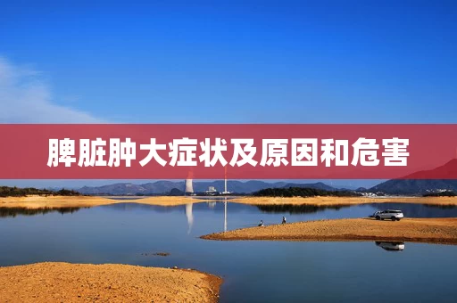 脾脏肿大症状及原因和危害