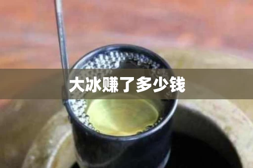 大冰赚了多少钱