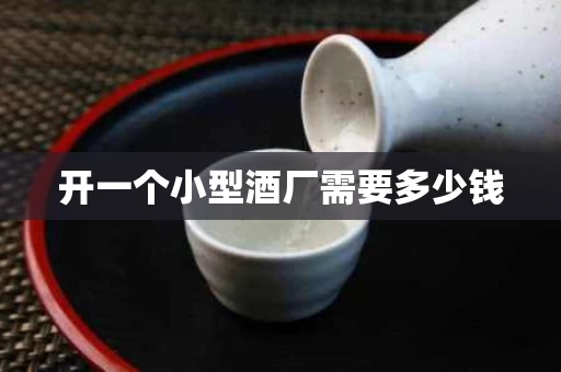 开一个小型酒厂需要多少钱