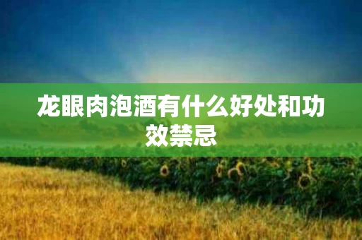 龙眼肉泡酒有什么好处和功效禁忌
