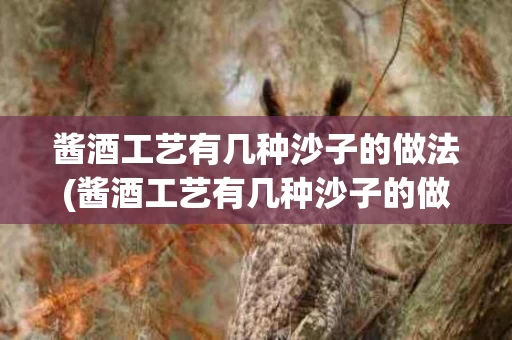 酱酒工艺有几种沙子的做法(酱酒工艺有几种沙子的做法视频)