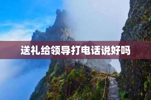 送礼给领导打电话说好吗