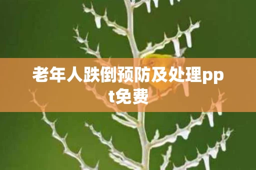 老年人跌倒预防及处理ppt免费
