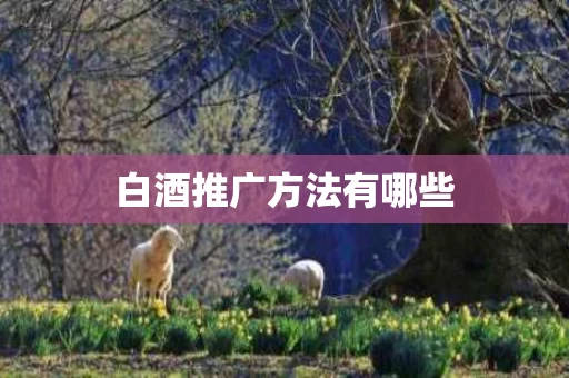 白酒推广方法有哪些