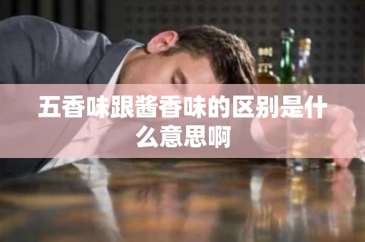 五香味跟酱香味的区别是什么意思啊