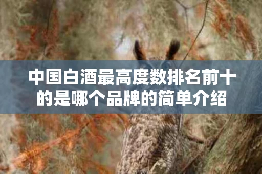 中国白酒最高度数排名前十的是哪个品牌的简单介绍