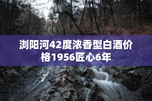 浏阳河42度浓香型白酒价格1956匠心6年
