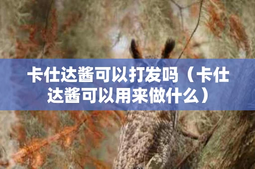 卡仕达酱可以打发吗（卡仕达酱可以用来做什么）