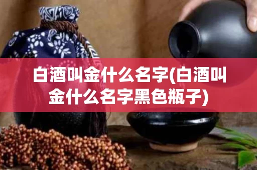 白酒叫金什么名字(白酒叫金什么名字黑色瓶子)
