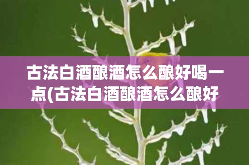 古法白酒酿酒怎么酿好喝一点(古法白酒酿酒怎么酿好喝一点呢)