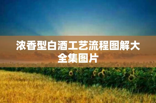 浓香型白酒工艺流程图解大全集图片
