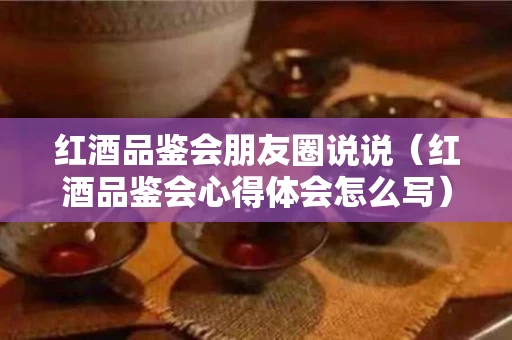 红酒品鉴会朋友圈说说（红酒品鉴会心得体会怎么写）