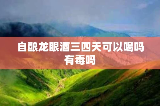 自酿龙眼酒三四天可以喝吗有毒吗