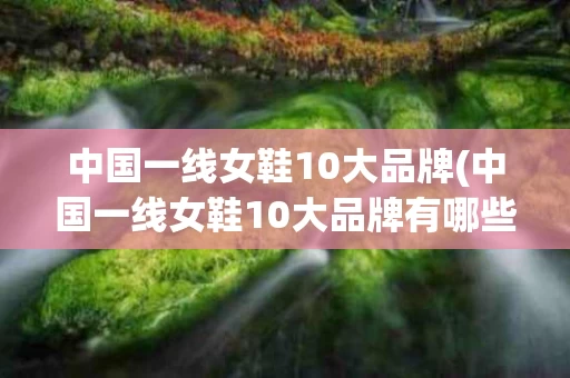 中国一线女鞋10大品牌(中国一线女鞋10大品牌有哪些)