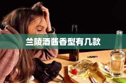 兰陵酒酱香型有几款