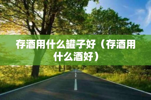 存酒用什么罐子好（存酒用什么酒好）