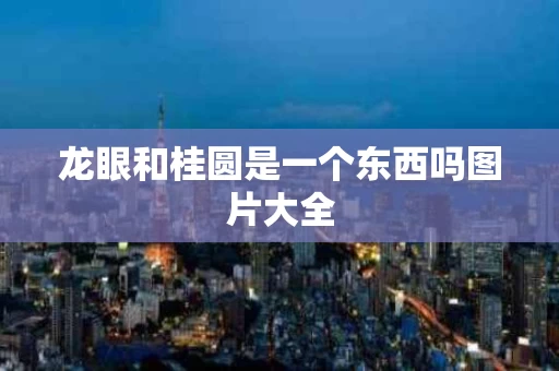 龙眼和桂圆是一个东西吗图片大全
