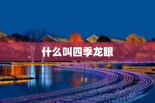 什么叫四季龙眼