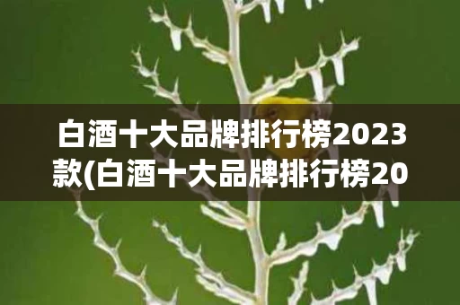 白酒十大品牌排行榜2023款(白酒十大品牌排行榜2023款价格)