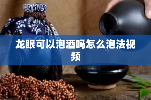 龙眼可以泡酒吗怎么泡法视频