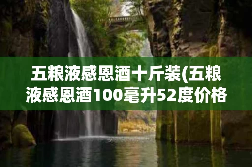 五粮液感恩酒十斤装(五粮液感恩酒100毫升52度价格)