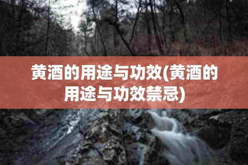 黄酒的用途与功效(黄酒的用途与功效禁忌) 黄酒的用途与功效(黄酒的用途与功效禁忌)
