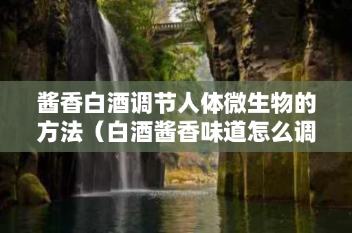 酱香白酒调节人体微生物的方法（白酒酱香味道怎么调）