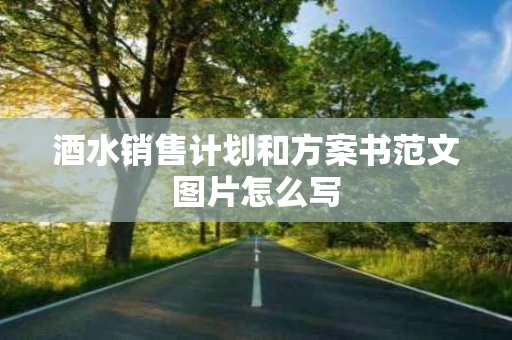 酒水销售计划和方案书范文图片怎么写