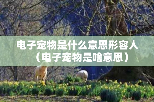 电子宠物是什么意思形容人（电子宠物是啥意思）