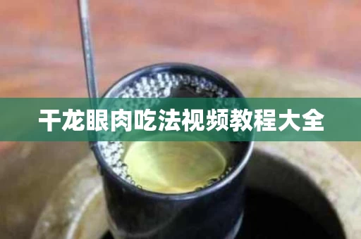 干龙眼肉吃法视频教程大全