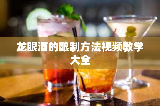 龙眼酒的酿制方法视频教学大全