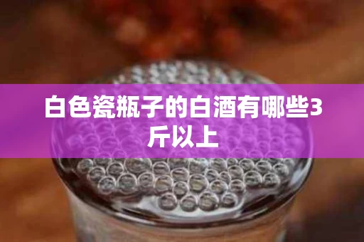 白色瓷瓶子的白酒有哪些3斤以上